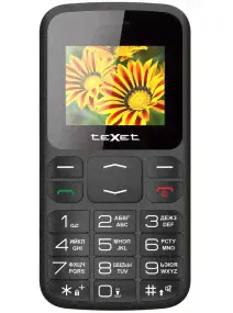 Сотовый телефон TEXET TM-B208 Black